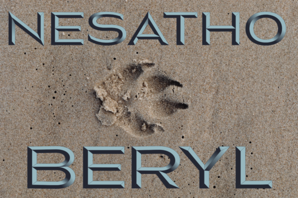 Nesatho-Beryl: A Color Fonts Powerhouse for Handmade Brands